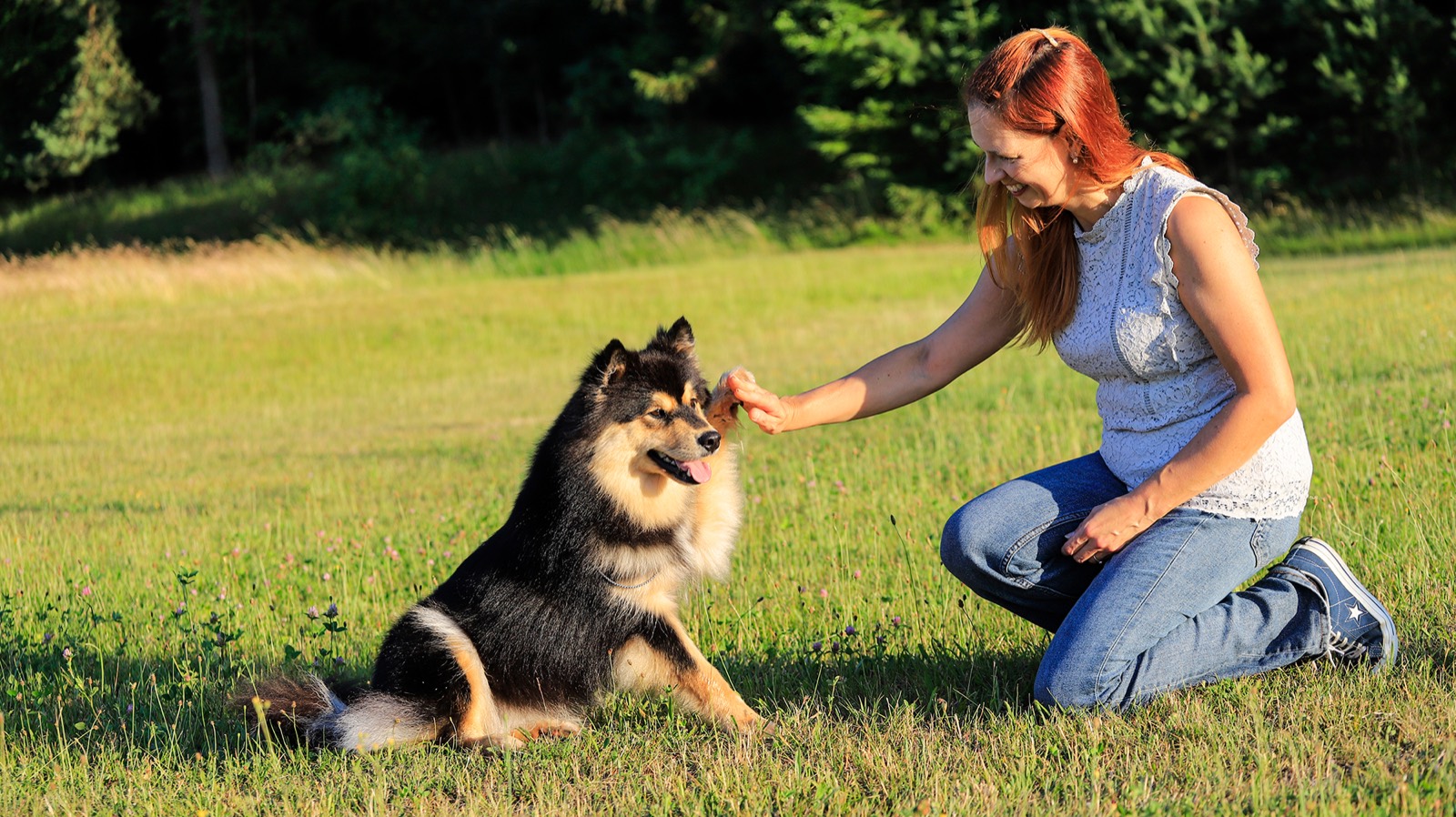 Emilia Peek-Kwaśniewska ze swoją suką fińskiego lapphunda