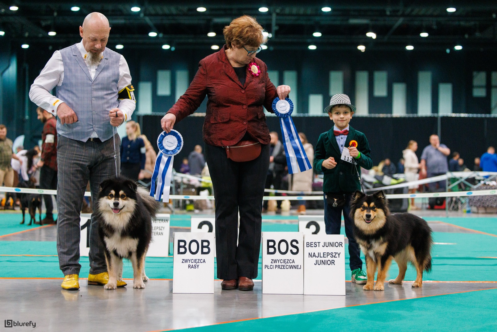 Tabliczki BOB, BOS i Best Junior na wystawie psów rasowych